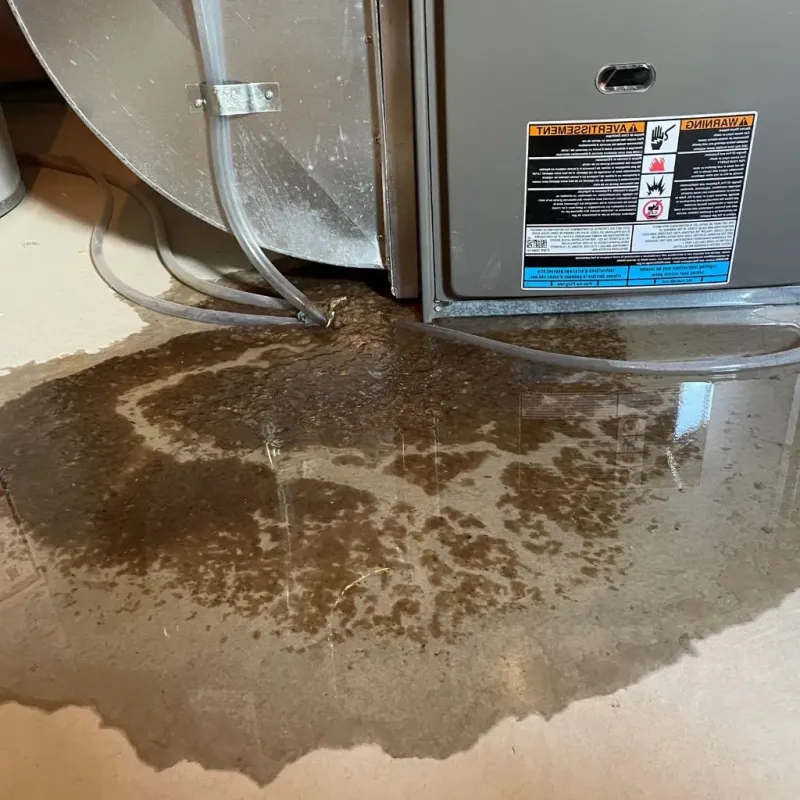 Pipe Burst and Leak Restoration in Hanley Hills, MO