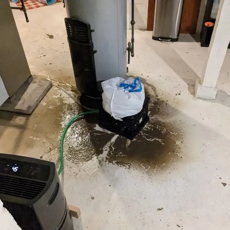 Sewage Backup Cleanup Service in Hanley Hills, MO
